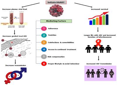 Frontiers | Substance Use, Highly Active Antiretroviral Therapy, And ...